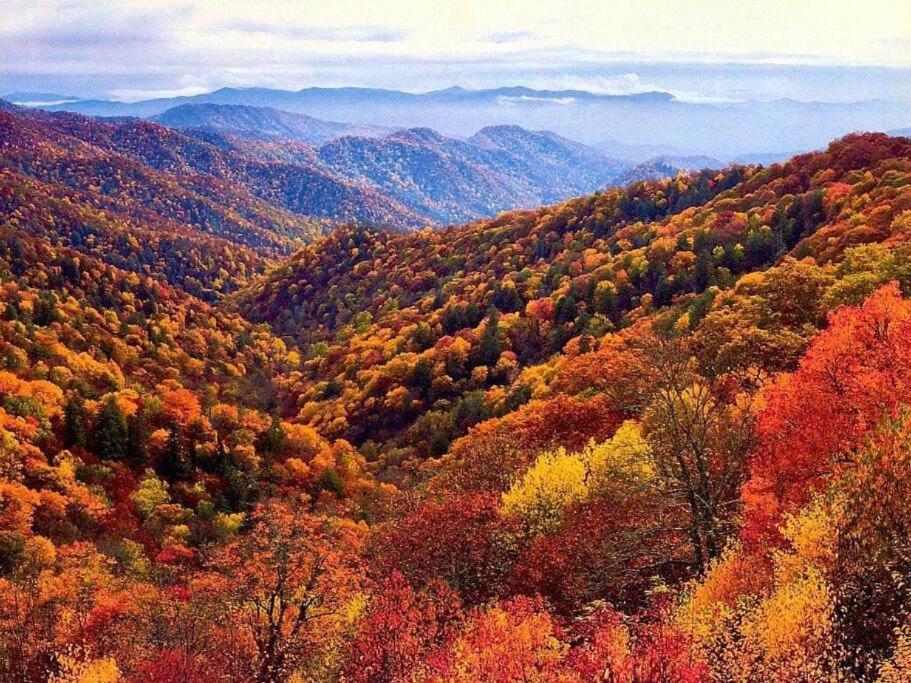 Whiskey Ridge Lodge, A Restored 1940S Gem, 2 Mins From Downtown, Breathtaking City Views, Custom Game Room, And Spacious Elegance 개틀린버그 외부 사진